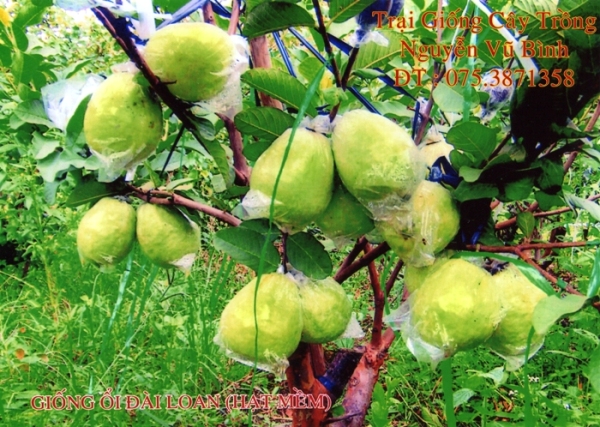 Anh-dep-05-12459.aspx